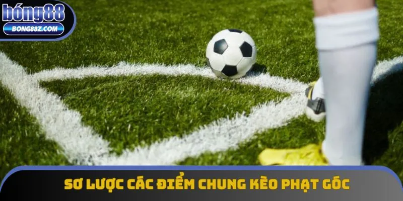 Sơ lược các điểm chung được nhắc đến trong kèo phạt góc