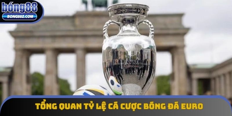 Tổng quan tỷ lệ cá cược bóng đá euro